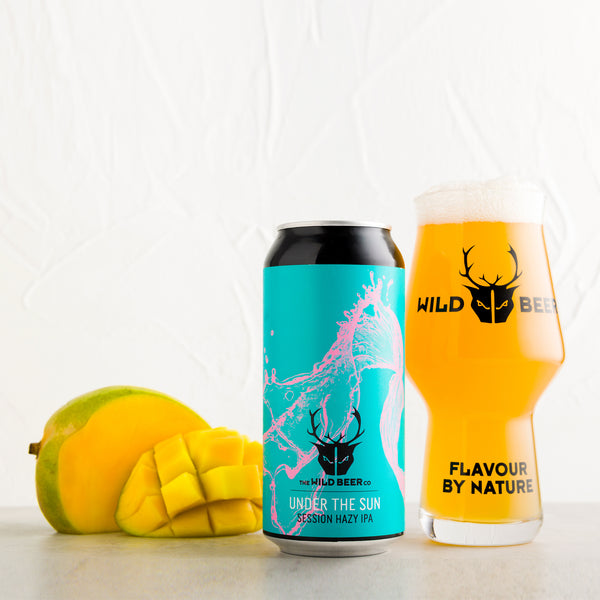 Under The Sun 440ml food pairing