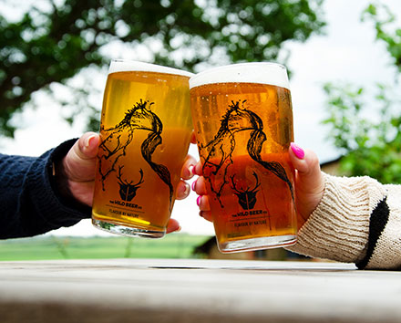 wild beer co pint glass