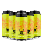 Everstone 6 Pack - Hazy NZ IPA - The Wild Beer Co