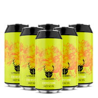 Everstone 6 Pack - Hazy NZ IPA - The Wild Beer Co