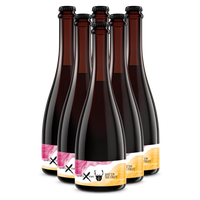 Give 'em The Fruit 6 Pack - Birthday Fruit Sour Beer - The Wild Beer Co