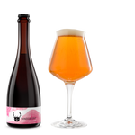 Shnoodlepip - Foudre Fruit Sour - Wild Beer Co