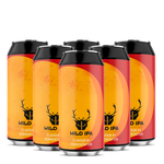 Wild IPA Can 6 Pack - Mixed Fermentation IPA - The Wild Beer Co