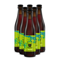 Zintuki 6 pack - Blended Sour Beer - The Wild Beer Co