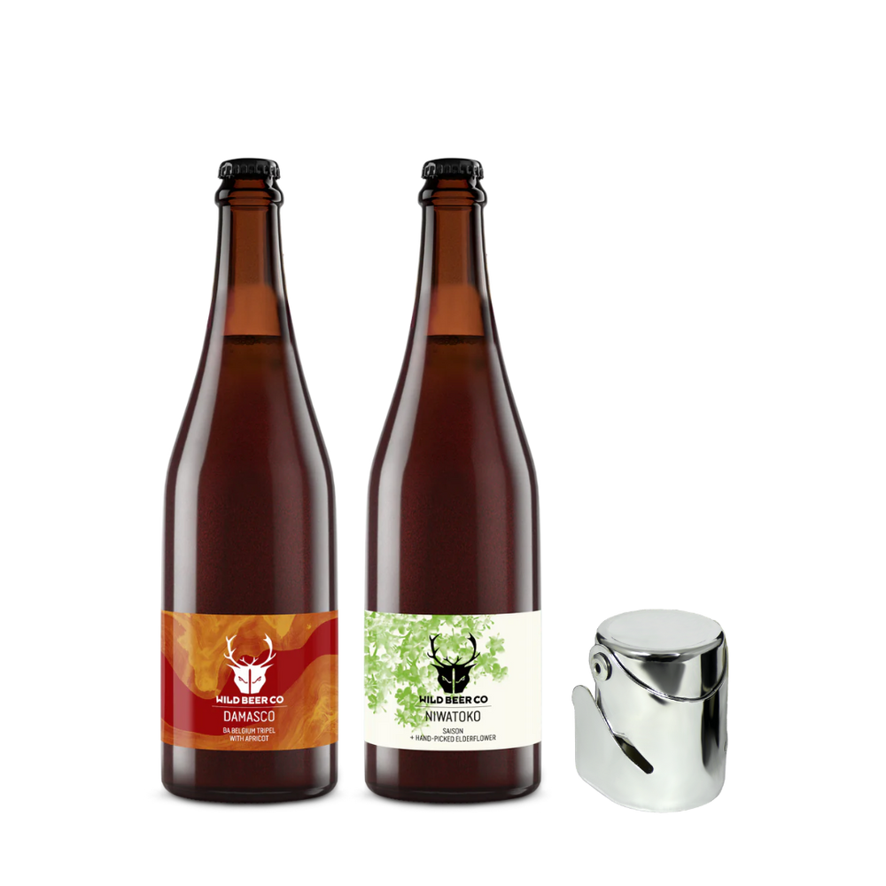 Bottle Stopper Gift Set