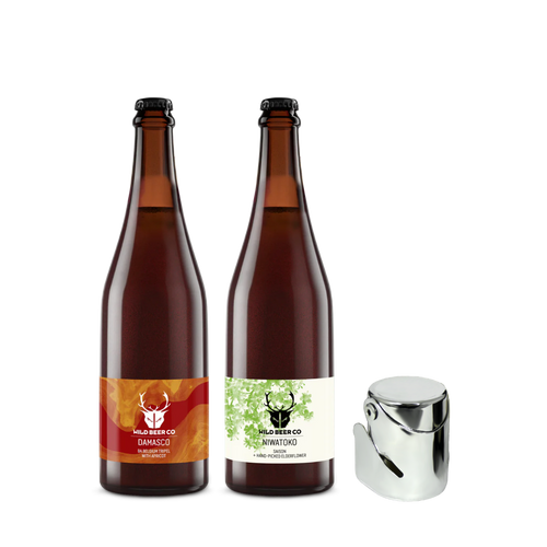 Bottle Stopper Gift Set