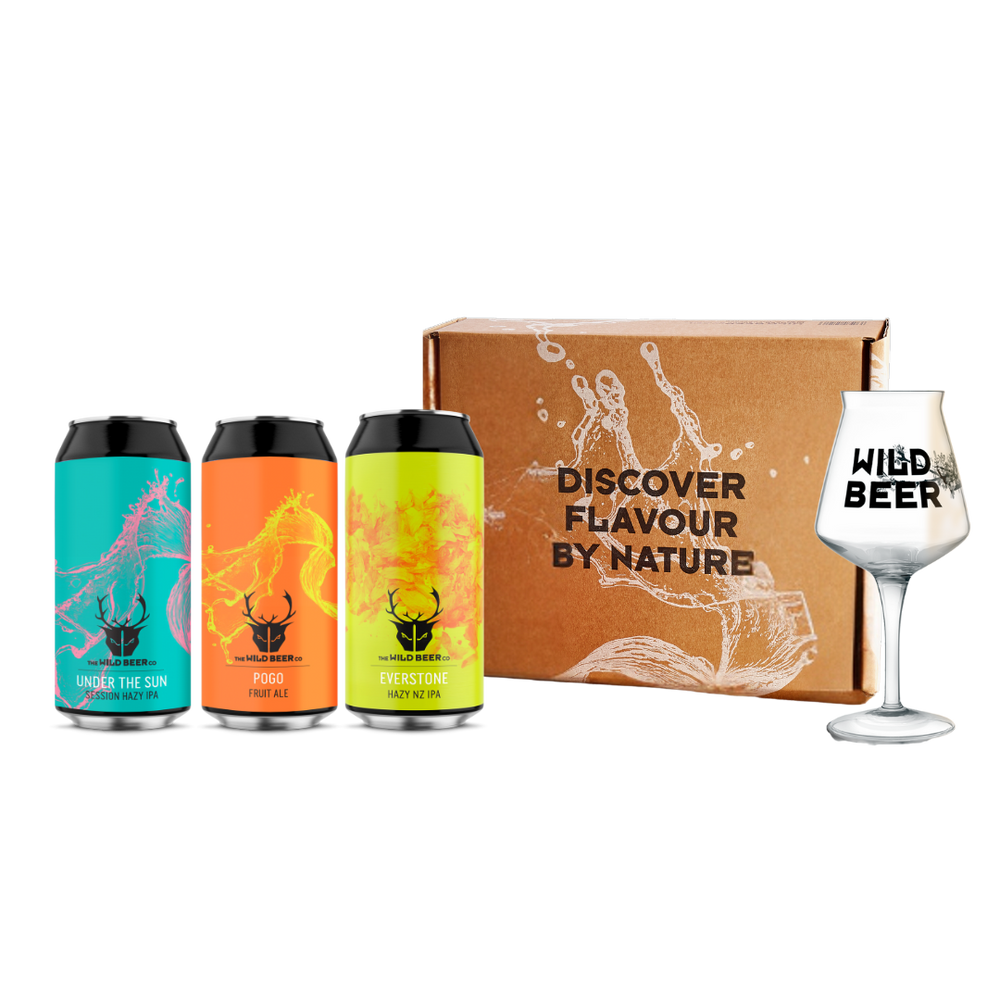 Teku Glass Beer Gift Set