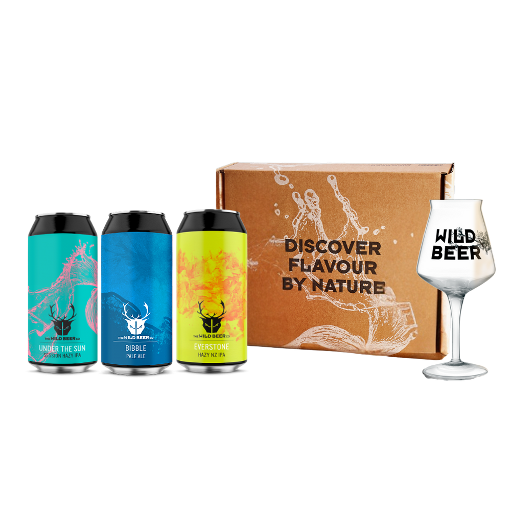 Teku Glass Beer Gift Set