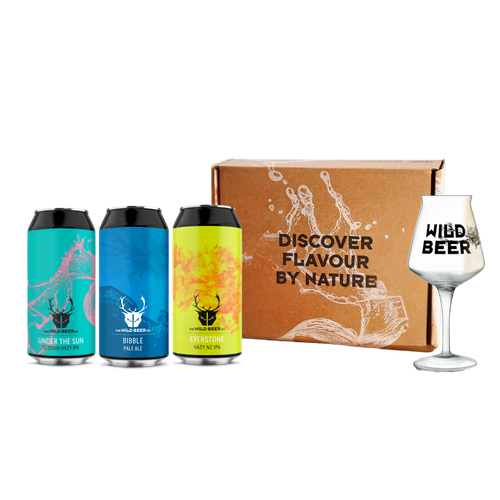 Teku Glass Beer Gift Set