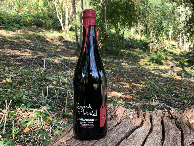 Beyond Modus VII food pairing