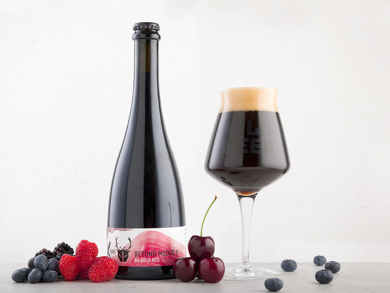 Beyond Modus 9 food pairing