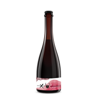 Beyond Modus 9 bottle - Barrel Aged Sour Red - Wild Beer Co