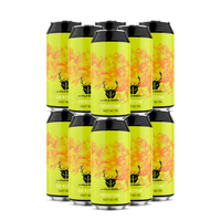 Everstone 12 Pack - Hazy NZ IPA - The Wild Beer Co