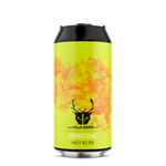 Everstone Single Can - Hazy NZ IPA - The Wild Beer Co