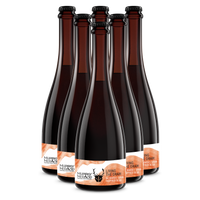 Living The Dram 6 Pack - Whisky Sour Inspired Beer - The Wild Beer Co