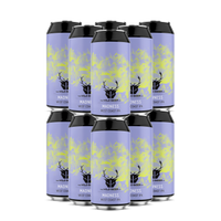 Madness IPA 12 Pack - West Coast IPA - The Wild Beer Co
