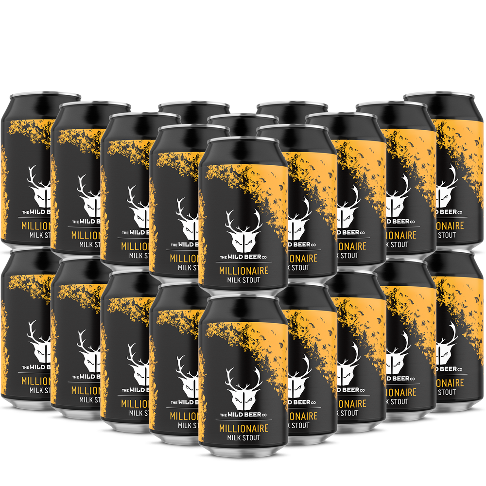 Millionaire 24 Pack Cans - Salted Caramel & Chocolate Milk Stout - The Wild Beer Co