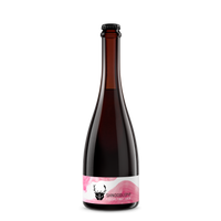 Shnoodlepip Single Bottle - Foudre Fruit Sour - Wild Beer Co