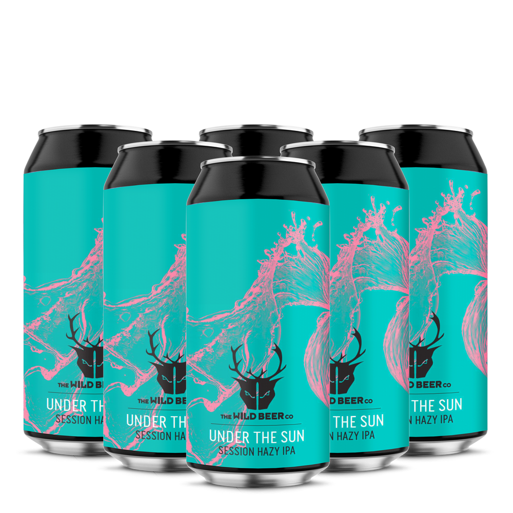 6 pack Under the sun | Session Hazy IPA | Wild Beer Co