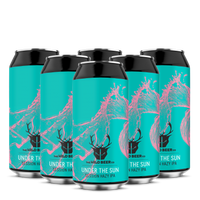 6 pack Under the sun | Session Hazy IPA | Wild Beer Co