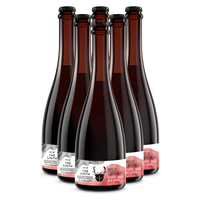 Wild Samurai 6 Pack - Blended Aged Red Sour - The Wild Beer Co