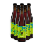 Zintuki 6 pack - Blended Sour Beer - The Wild Beer Co